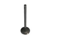 سوپاپ دود اصلی امویام 315 و X22 (کد 477F-1007012BA)
